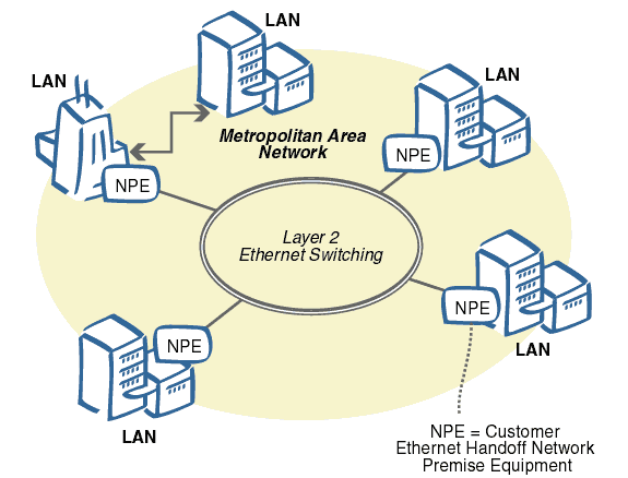 انواع شبکه